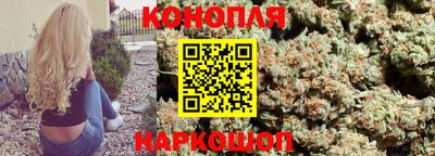 прущие крисы Заводоуковск