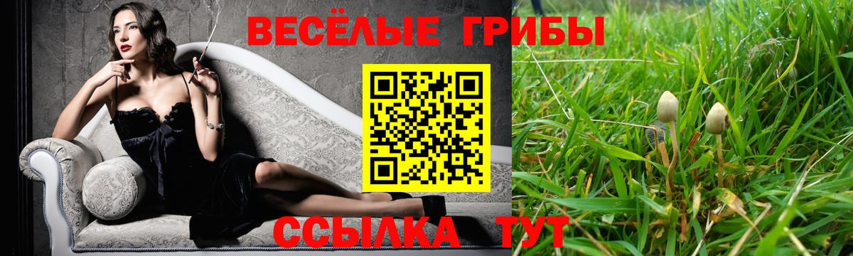 Псилоцибиновые грибы Cubensis  Вход с VPN  Галлюциногенные грибы ЛСД  Лесозаводск 